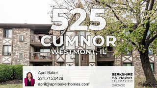 525 Cumnor Road 104 Westmont IL 60559 [upl. by Noyart]