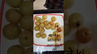 amla candy recipe  how to make amla candyinstant amla candyshort viral youtubeshort [upl. by Shippee]