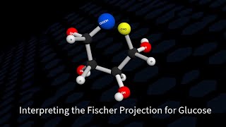 Interpreting the Fischer Projection for Glucose [upl. by Alarise]