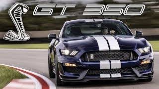 2019 Shelby GT350  EVERYTHING You Need to Know [upl. by Bodi436]