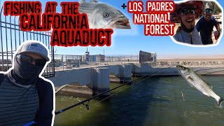 Fishing at the California Aqueduct for the FIRST TIME [upl. by Liberati]