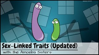 Punnett Squares and SexLinked Traits UPDATED [upl. by Sehguh]