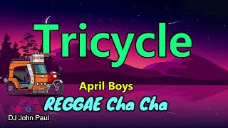 Tricycle  April Boys ft DJ John Paul REGGAE Cha Cha Remix  Zumba Dance [upl. by Eelyme]