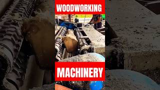 The Power of Woodworking Machinery shorts woodworking [upl. by Ardena]