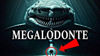 10 CURIOSIDADES INCRÃVEIS SOBRE O MEGALODONTE  O MAIOR TUBARÃƒO QUE JÃ EXISTIU [upl. by Zinn836]