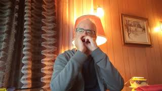 A Whiter Shade of Pale Procol Harum harmonica [upl. by Norm]