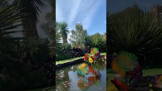 Chihuly  Adelaide Botanic Garden [upl. by Winfield]