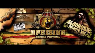 Uprising SK presents Alborosie Tribute Mix 2010 part 3 [upl. by Shornick]