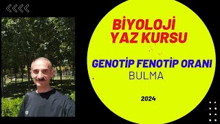 genotip ve fenotip oranı bulma [upl. by Adaj916]