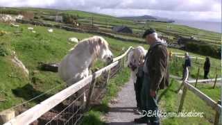 The Ring of Dingle  Irelands Dingle Peninsula [upl. by Euqinimod]