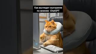 cat perea греция выгорание [upl. by Mallis675]