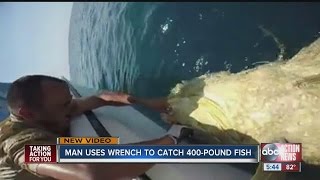 St Petersburg man catches 400pound fish with wrench [upl. by Ed28]