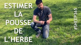 3 techniques pour ESTIMER la vitesse de POUSSE de l’herbe [upl. by Stroud867]