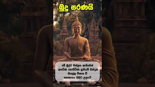 අනවිණ කොඩිවිණ හූනියම් බන්දන විනාශ කරන බලගතු බුද්ධ මන්ත්‍රයApe Pansalabuddhismpirithchanting [upl. by Bobker]