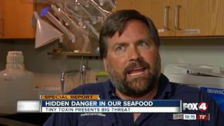 Ciguatera Hidden danger in seafood tiny toxin presents big threat [upl. by Struve]