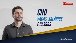 Concurso Nacional Unificado CNU  Cargos vagas e remunerações [upl. by Toole]