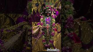 Adharam Madhuram  Song by Madhurashtakam  song jaishreeradhekrishna radhekrishna subscribe [upl. by Yelats]