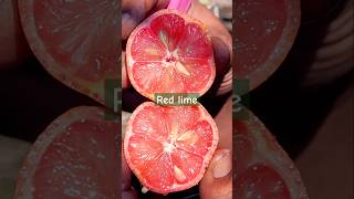 Red lime taste review garden shorts viralvideo [upl. by Ludwig]