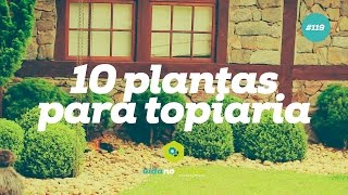 10 plantas para topiaria 119 [upl. by Gurney8]