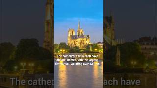 NotreDame Cathedral Paris facts trending shorts [upl. by Lizzie839]