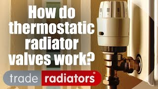 How Do Thermostatic Radiator Valves Work  by Trade Radiators [upl. by Manas]