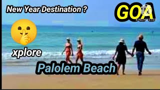 GOAA Place To Beat WinterWhy Palolem Beach Best for Dolphin Sight👍Honeymoon Beach ka Kahani🤫goa [upl. by Iloj]