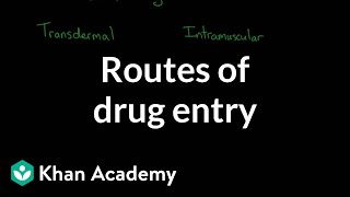 Routes of drug entry  Processing the Environment  MCAT  Khan Academy [upl. by Eisserc]