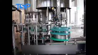 Pure mineral water bottle rotary filler and capper equipment 3 in 1 unit Monoblock [upl. by Gizela]