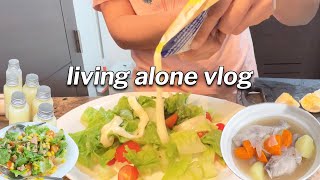 Easy amp Healthy recipes 🥗  laundry vlog  life of a homebody  Living Alone in the Philippines [upl. by Aihtyc]