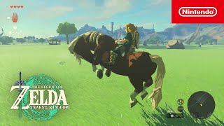 Comment dompter un cheval sauvage – The Legend of Zelda Tears of the Kingdom [upl. by Ahsieit]