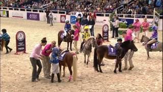 WIHS Shetland Pony Steeplechase Race 2 Thursday Oct 23 2014 [upl. by Eiramnerual]