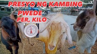 PRESYO NG KAMBING PWEDE PER KILO padregarciabatangas livestock goat goatfarming murakambing [upl. by Esilahc687]