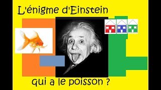 La célèbre énigme dEinstein [upl. by Adnwahs386]