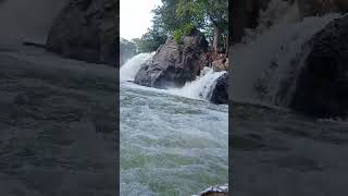 Hogenakkal falls song water waterfall [upl. by Griffiths]