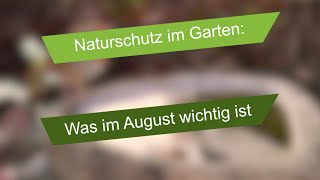 Naturschutz im Garten Was im August wichtig ist [upl. by Nauqel]