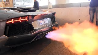 The BEST LAMBORGHINI AVENTADOR Engine SOUNDS Ever [upl. by Ueihtam206]