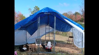 New Kennel up and splitting the pullets up [upl. by Wilow]