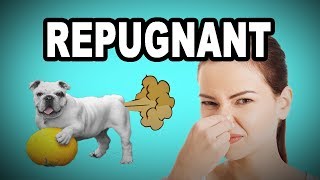 💩 Learn English Words  REPUGNANT  Meaning Vocabulary with Pictures and Examples [upl. by Duaner]