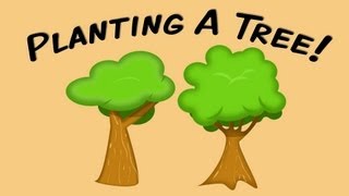 Planting A Tree fingerplay song for children [upl. by Iarised970]