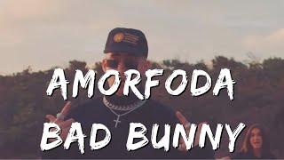 Bad BunnyAmorfoda Lyrics video [upl. by Ikciv]