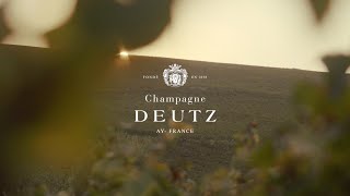 Champagne Deutz  Vendanges 2024  English subtitles [upl. by Giltzow303]