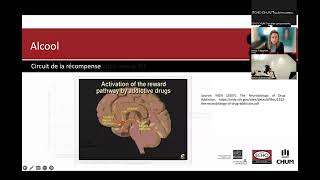 Neurobiologie du trouble d’usage d’alcool [upl. by Esaj542]