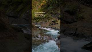 Nishizawa gorge 西沢渓谷nishizawagorge hikinginjapan explorejapan waterfallsounds autumninjapan 滝 [upl. by Maller]