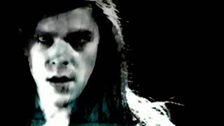 Ariel Pink  Burned Out Love Official Video [upl. by Nolyk680]