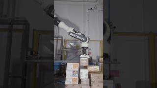 Palletize and Depalletize with Dexterity robotics palletizer robot [upl. by Gassman]