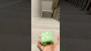 Ringtone evolution balls dice funnyvideo viral trending fyp [upl. by Baron944]