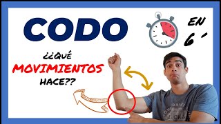 🥇 MOVIMIENTOS DEL CODO  Biomecánica  Anatomia  Humerocubital flexion y extension [upl. by Bakemeier914]