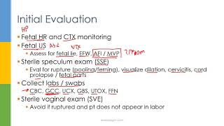 Learn OBGYN Preterm Labor Rupture of Membranes and Delivery [upl. by Seagraves986]