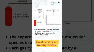 Gas Chromatograph working Principle gas gases chromatography working principles [upl. by Asim]