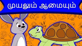 Tha Talkative Tortoise  Bedtime story  Panchatantra stories  Moral stories for kids [upl. by Ajat716]